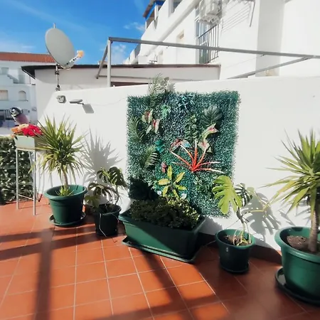 Piso Aurora Apartamento